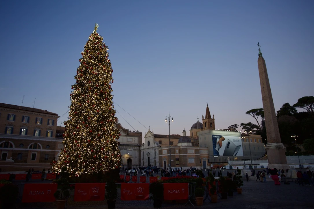 A Christmas tree is seen in St. Peter's Square, Vatican City, Wednesday, Dec. 18, 2024. Credit: Courtney Mares/CNA