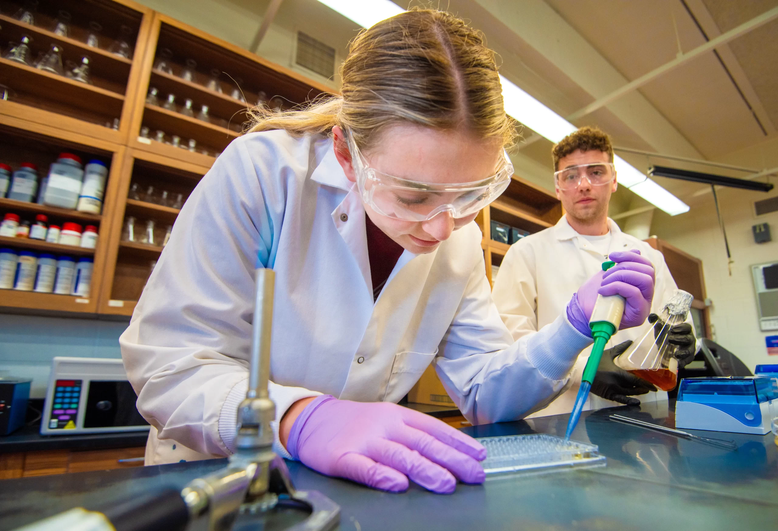 University of Mary SURVE students Ethan Emineth and Grace Dahl demonstrate how diluted cell cultures are transferred into a 96-well plate so that a spot assay can be performed.  After filling the 96-well plate with cell culture samples, Dahl and Emineth will use a multichannel pipette to spot cells onto solid media. Credit: Mike McCleary/University of Mary