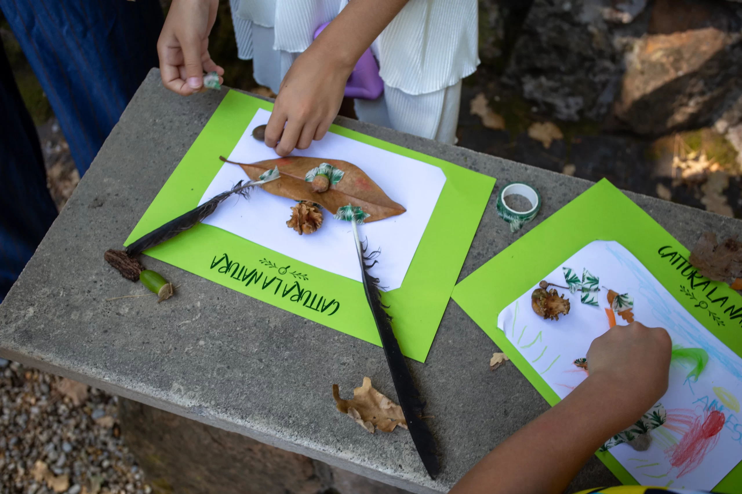 Children create their own “masterpieces” with leaves, bird feathers, and twigs collected along the way during a tour of the Vatican Gardens on Aug. 23, 2024. Credit: Hannah Brockhaus/CNA